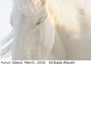 冨士フイルムスクエア